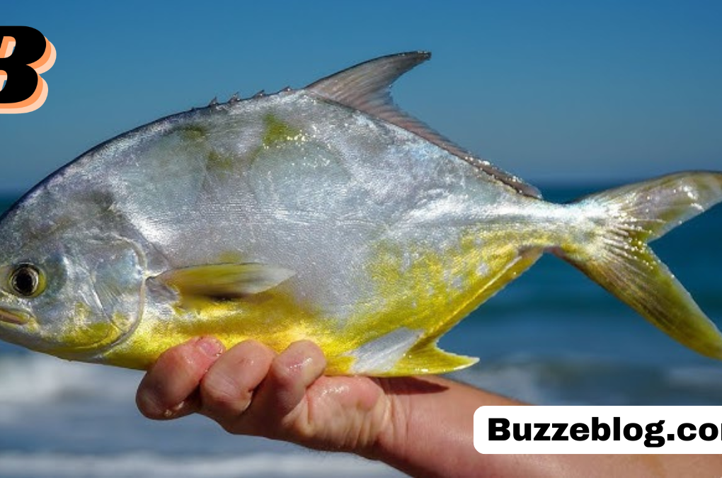 golden pompano